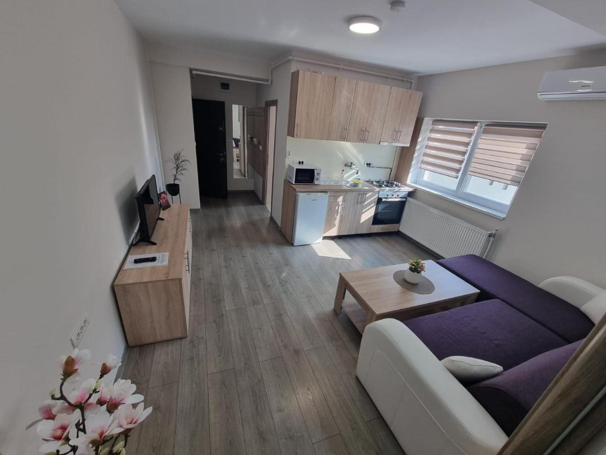 City Premium Apartments Timisoara Esterno foto