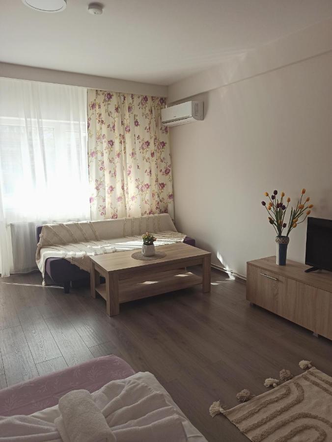 City Premium Apartments Timisoara Esterno foto